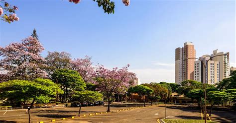 16 Best Hotels in Londrina. Hotels from $25/night.